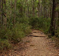 Pigeon House Mountain Didthul walking track - Hotel Gold Coast