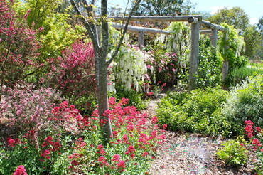 Ivy Hill Gallery - Hotel Gold Coast 6