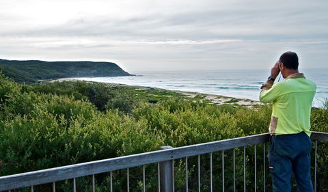 Tea Tree Picnic Area And Lookout - Hotel Gold Coast 2