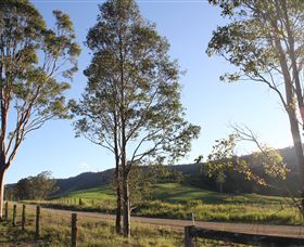 Tourist Drive 2 - Bucketts Way - Hotel Gold Coast 1