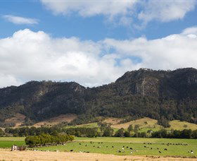 Tourist Drive 2 - Bucketts Way - Hotel Gold Coast 2