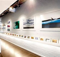 Aquabumps - Hotel Gold Coast