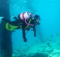 Shellharbour Scuba  Photography Centre - Hotel Gold Coast