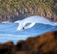 Killalea Beach - Hotel Gold Coast