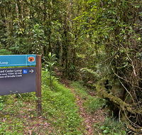 Red Cedar loop - Hotel Gold Coast