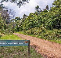 Antarctic Beech picnic area - Hotel Gold Coast