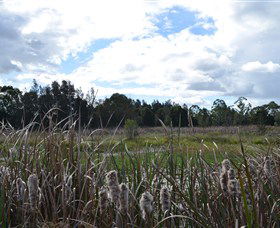 Jabiru Geenbeebeinga Wetlands - Hotel Gold Coast 1