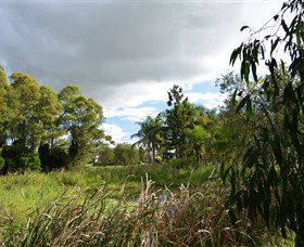 Jabiru Geenbeebeinga Wetlands - Hotel Gold Coast 2