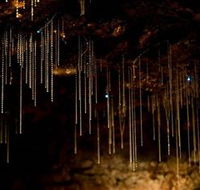 Tamborine Mountain Glow Worm Caves - Hotel Gold Coast