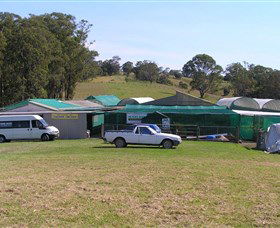 Tinonee Orchid Nursery - Hotel Gold Coast 0