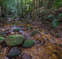 Starrs Creek picnic area - Hotel Gold Coast