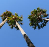 Bindarri National Park - Hotel Gold Coast