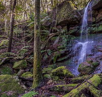 Coorabakh National Park - Hotel Gold Coast