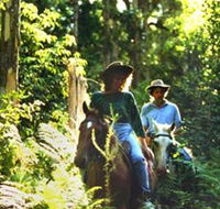 Clarendon Forest Retreat Horse Riding - Hotel Gold Coast