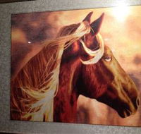 Silk Art Gallery - Hotel Gold Coast
