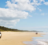 Bongil Bongil National Park - Hotel Gold Coast