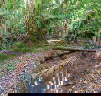 Ulidarra National Park - Hotel Gold Coast
