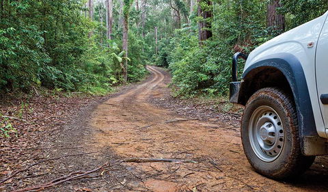 Ulidarra National Park - Hotel Gold Coast 2