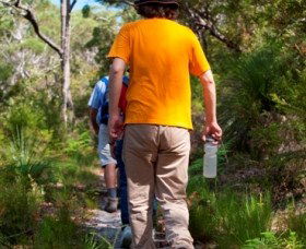 Naree Budjong Djara National Park - Hotel Gold Coast 3