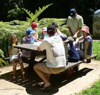 The Pines picnic area - Hotel Gold Coast