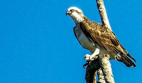 Saltwater National Park - Hotel Gold Coast 1