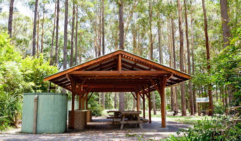 Bongil Picnic Area - Hotel Gold Coast 0