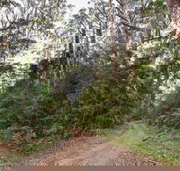 End Peak walking track - Hotel Gold Coast