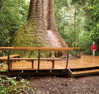 Burrawan State Forest - Hotel Gold Coast