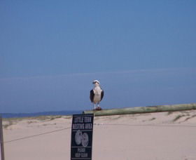 Manning Entrance State Park - Hotel Gold Coast 1