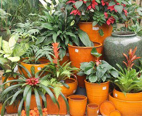 Diamond Waters Garden Nursery - Hotel Gold Coast 1