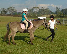 Port Macquarie Horse Riding Centre - Hotel Gold Coast 0