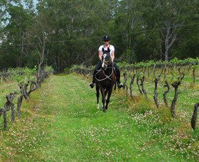 Port Macquarie Horse Riding Centre - Hotel Gold Coast 1