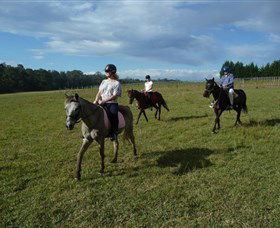 Port Macquarie Horse Riding Centre - Hotel Gold Coast 5