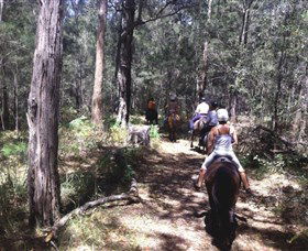 Port Macquarie Horse Riding Centre - Hotel Gold Coast 4