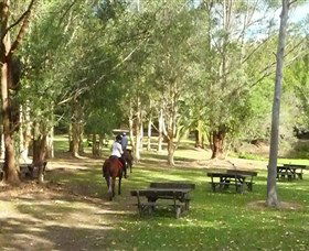 Port Macquarie Horse Riding Centre - Hotel Gold Coast 6
