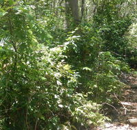 Bridle trail - Hotel Gold Coast