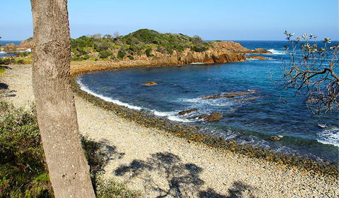 Mimosa Rocks Walking Track - Hotel Gold Coast 2