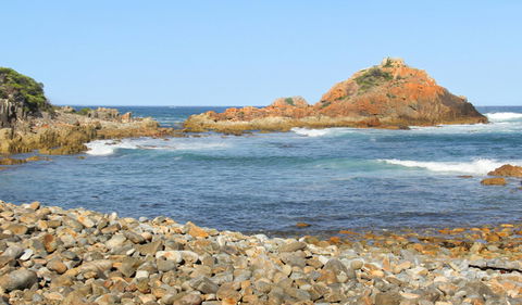 Mimosa Rocks Walking Track - Hotel Gold Coast 3