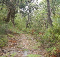 Kinchela Trig Lookout walk - Hotel Gold Coast