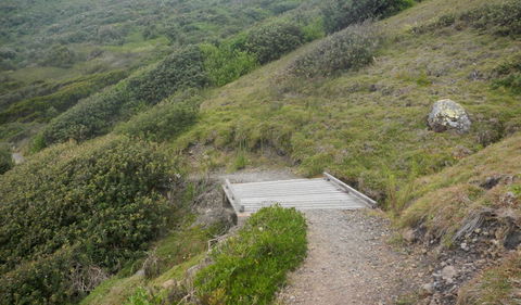 Connors Walking Track - Hotel Gold Coast 2