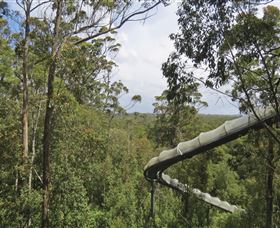 Tarkine Forest Adventures - Dismal Swamp - Hotel Gold Coast 1