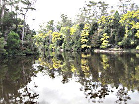 Arthur River TAS Hotel Gold Coast