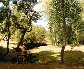 Oldina Picnic Area - Hotel Gold Coast 0