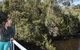 Hellyer Gorge - thumb 0