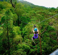 Canyon Flyer - Hotel Gold Coast