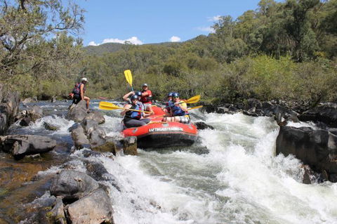 Rafting Australia - Hotel Gold Coast 1
