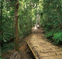 Lake Barrine Circuit Track Crater Lakes National Park - Hotel Gold Coast