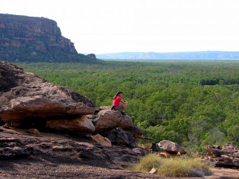 Echidna Walkabout Nature Tours - Hotel Gold Coast 21