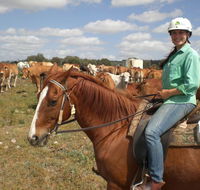 Myella Farm Stay Tours - Hotel Gold Coast