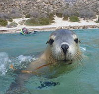 Calypso Star Charters - Hotel Gold Coast